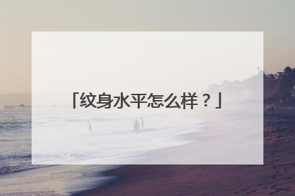 纹身水平怎么样？