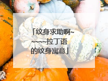 纹身求助啊~~~~~拉丁语的纹身寓意