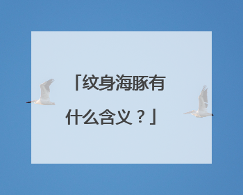 纹身海豚有什么含义？