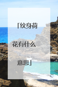 纹身荷花有什么意思