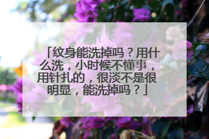 纹身能洗掉吗？用什么洗，小时候不懂事，用针扎的，很淡不是很明显，能洗掉吗？
