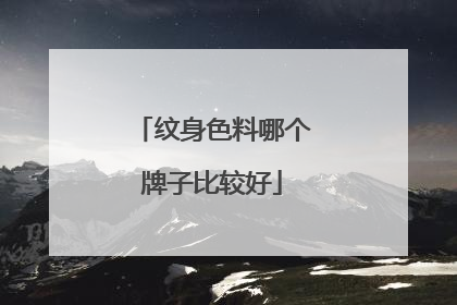 纹身色料哪个牌子比较好