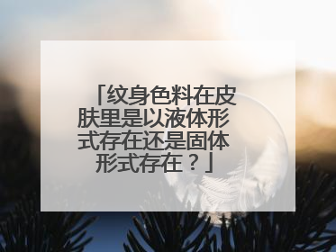 纹身色料在皮肤里是以液体形式存在还是固体形式存在？