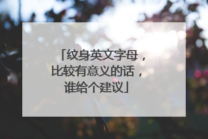 纹身英文字母，比较有意义的话，谁给个建议