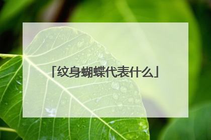 纹身蝴蝶代表什么