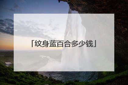 纹身蓝百合多少钱