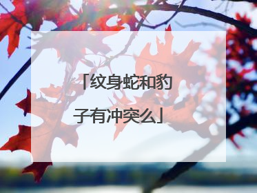 纹身蛇和豹子有冲突么