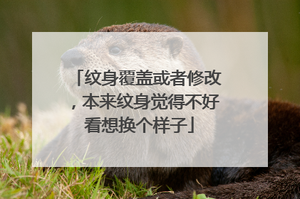 纹身覆盖或者修改，本来纹身觉得不好看想换个样子