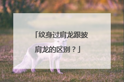 纹身过肩龙跟披肩龙的区别？