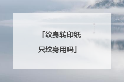 纹身转印纸只纹身用吗