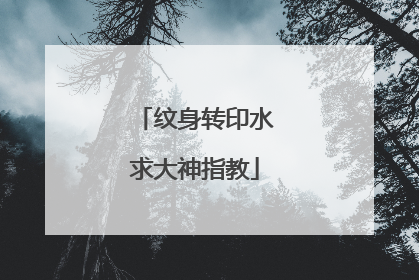 纹身转印水求大神指教