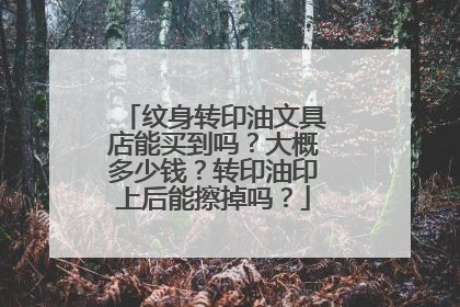 纹身转印油文具店能买到吗？大概多少钱？转印油印上后能擦掉吗？