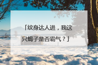 纹身达人进，我这只蝎子是否霸气？