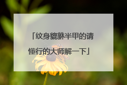 纹身貔貅半甲的请懂行的大师解一下