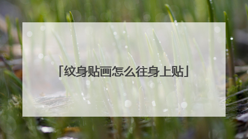 纹身贴画怎么往身上贴