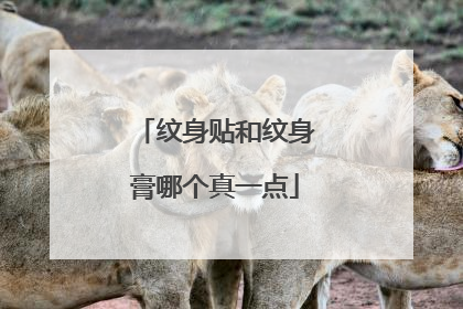 纹身贴和纹身膏哪个真一点