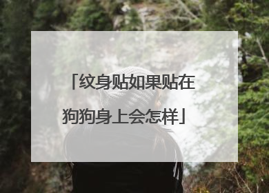 纹身贴如果贴在狗狗身上会怎样