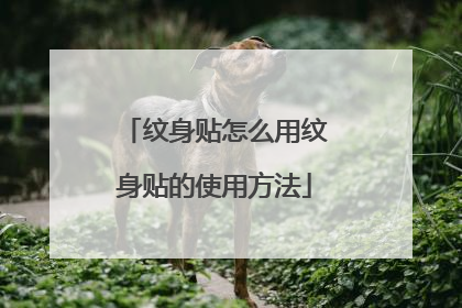纹身贴怎么用纹身贴的使用方法