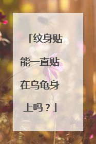 纹身贴能一直贴在乌龟身上吗？