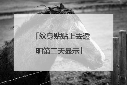 纹身贴贴上去透明第二天显示