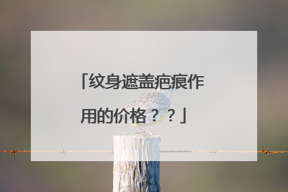 纹身遮盖疤痕作用的价格？？