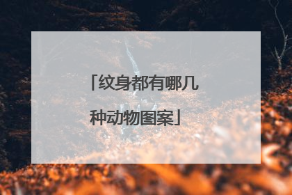纹身都有哪几种动物图案