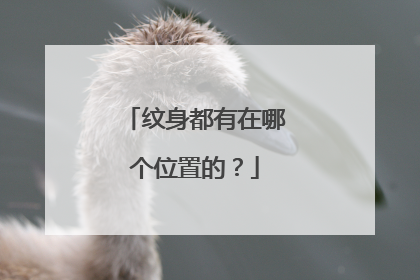 纹身都有在哪个位置的？