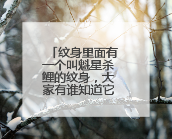 纹身里面有一个叫魁星杀鲤的纹身，大家有谁知道它的故事？