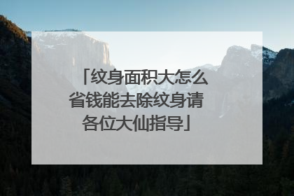 纹身面积大怎么省钱能去除纹身请各位大仙指导
