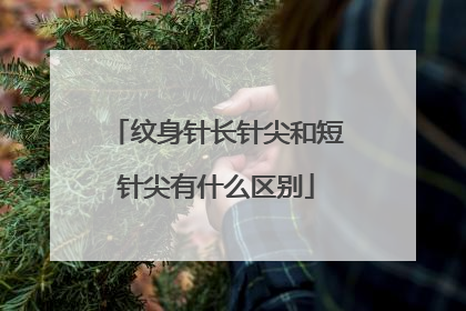 纹身针长针尖和短针尖有什么区别