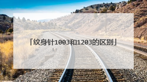 纹身针1003和1203的区别