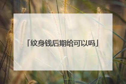 纹身钱后期给可以吗