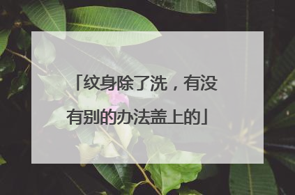 纹身除了洗,有没有别的办法盖上的