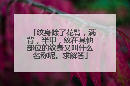 纹身除了花臂，满背，半甲，纹在其他部位的纹身又叫什么名称呢。求解答