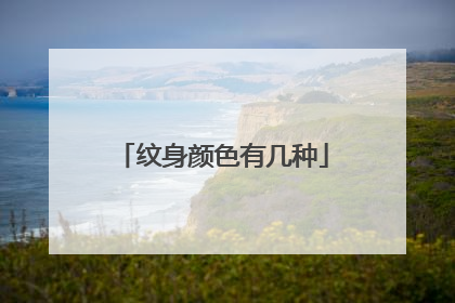 纹身颜色有几种
