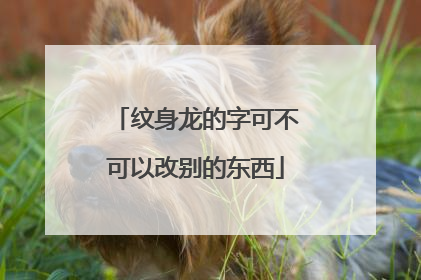 纹身龙的字可不可以改别的东西