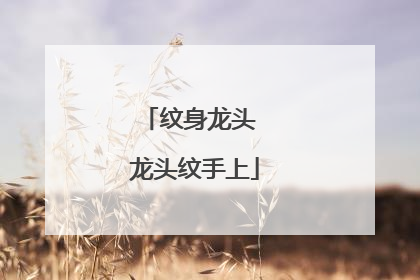 纹身龙头 龙头纹手上