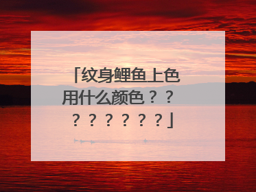 纹身鲤鱼上色用什么颜色？？？？？？？？