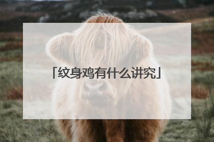 纹身鸡有什么讲究