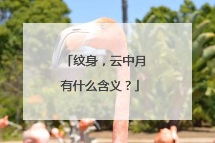 纹身，云中月有什么含义？