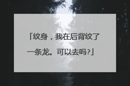 纹身，我在后背纹了一条龙。可以去吗?