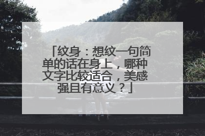 纹身：想纹一句简单的话在身上，哪种文字比较适合，美感强且有意义？