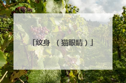 纹身 （猫眼睛）