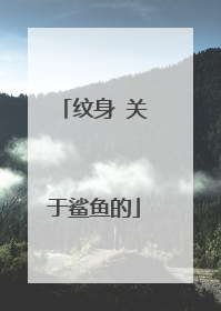 纹身 关于鲨鱼的