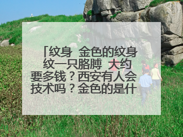 纹身 金色的纹身 纹一只胳膊 大约要多钱？西安有人会技术吗？金色的是什么材料？