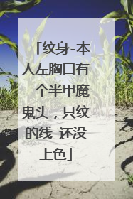 纹身-本人左胸口有一个半甲魔鬼头，只纹的线 还没上色