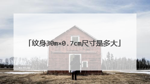 纹身30m×0.7cm尺寸是多大
