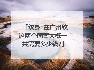 纹身:在广州纹这两个图案大概一共需要多少钱?