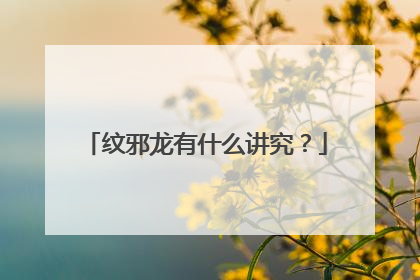 纹邪龙有什么讲究？