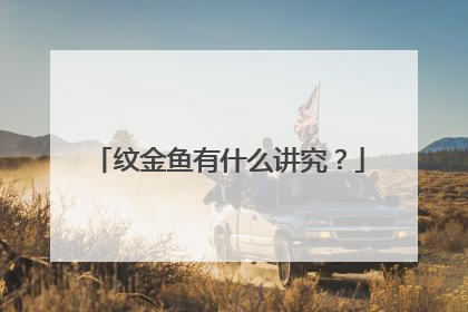 纹金鱼有什么讲究？